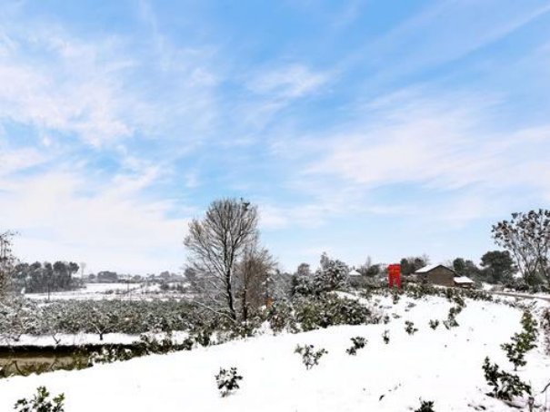 春天下雪意味着什么