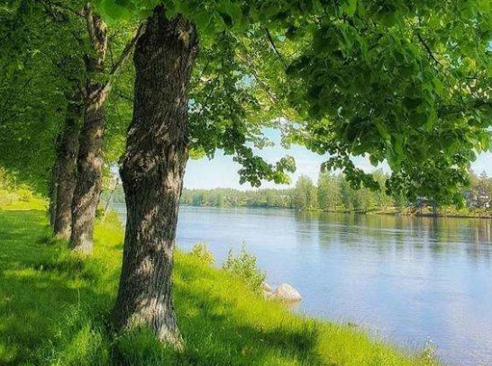 荫怎么读，什么意思