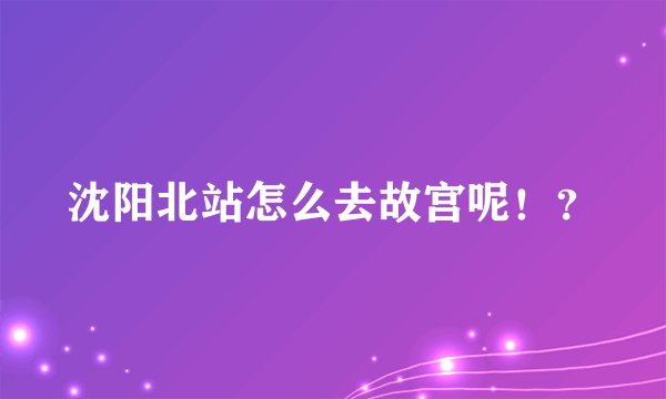 沈阳北站怎么去故宫呢！？