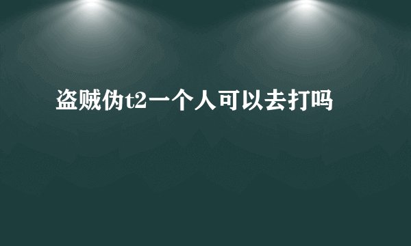 盗贼伪t2一个人可以去打吗