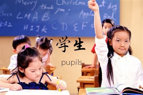 pupils这个英语单词怎么读