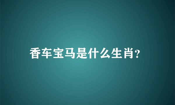 香车宝马是什么生肖？