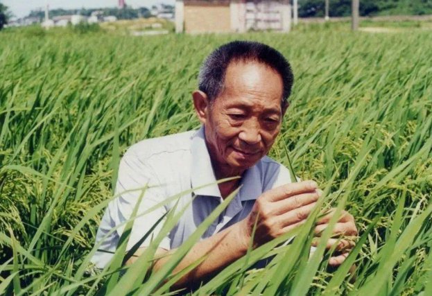 袁隆平是湖南什么地方的人？