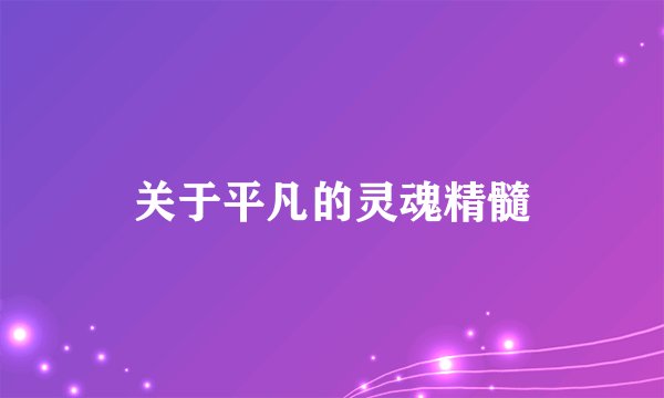 关于平凡的灵魂精髓
