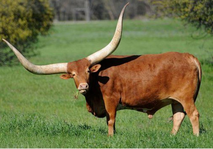 不值一谈的意思