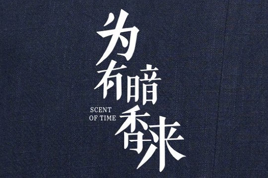 为有暗香来一共多少集