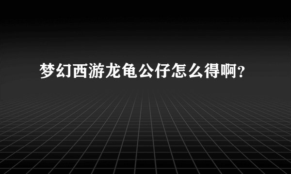 梦幻西游龙龟公仔怎么得啊？
