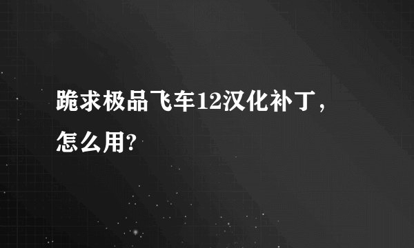 跪求极品飞车12汉化补丁，   怎么用?