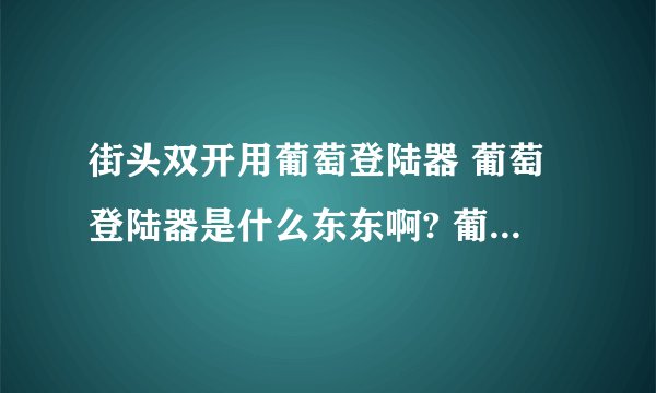 街头双开用葡萄登陆器 葡萄登陆器是什么东东啊? 葡萄登陆器怎么用啊?