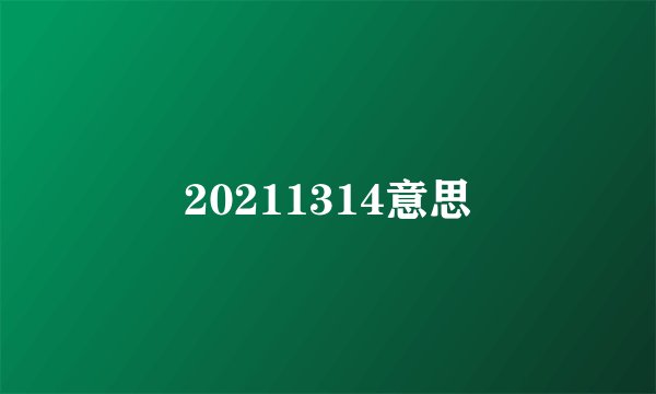20211314意思