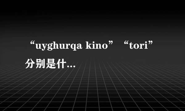 “uyghurqa kino”“tori”分别是什么意思？