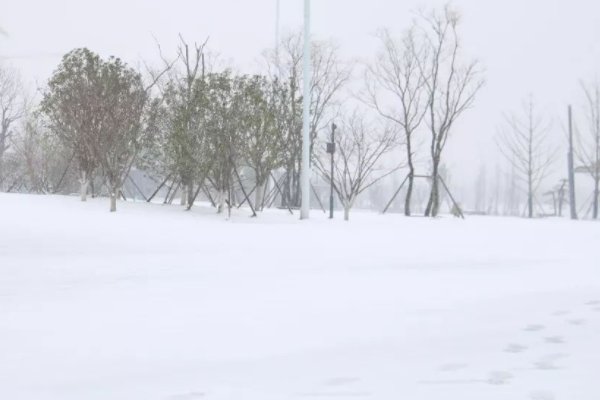 沈阳8日全市学校停课一天,停课的原因是什么?