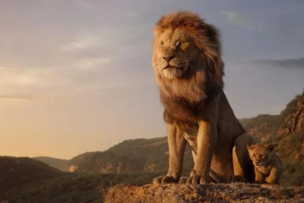 迪士尼电影《狮子王》上映,里面没有彩蛋,你觉得遗憾吗?