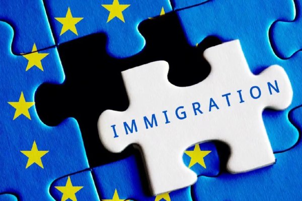 移民中介公司排行