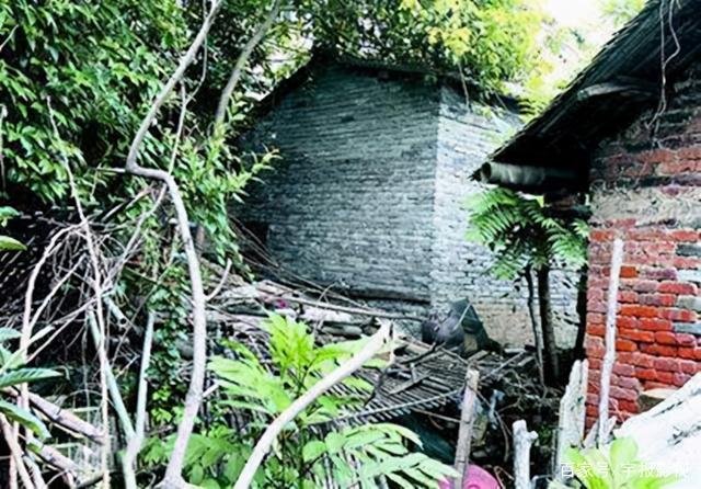 警方调查迷雾重重，凶手竟是一名中年大叔，这到底是怎么回事？