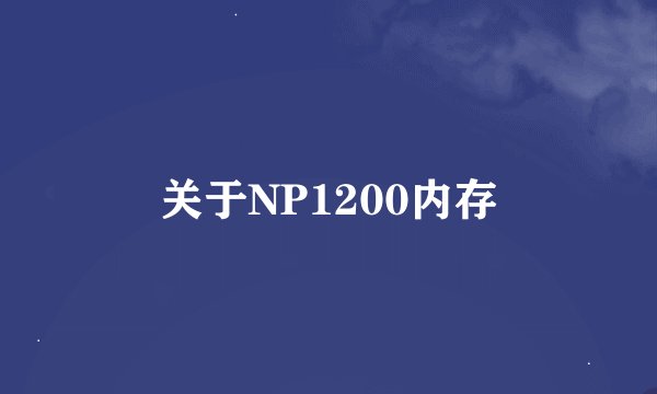 关于NP1200内存