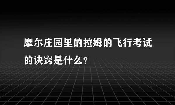 摩尔庄园里的拉姆的飞行考试的诀窍是什么？