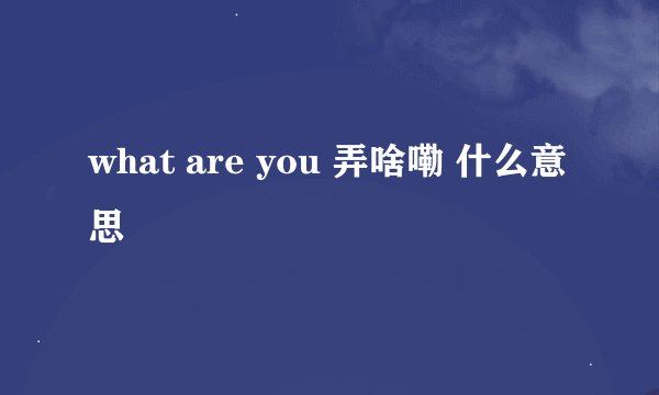 what are you 弄啥嘞 什么意思