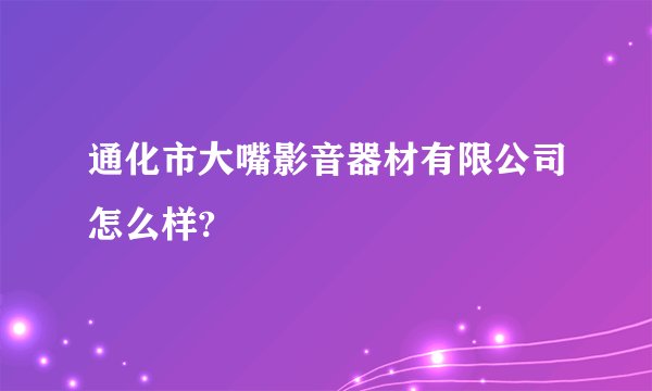 通化市大嘴影音器材有限公司怎么样?
