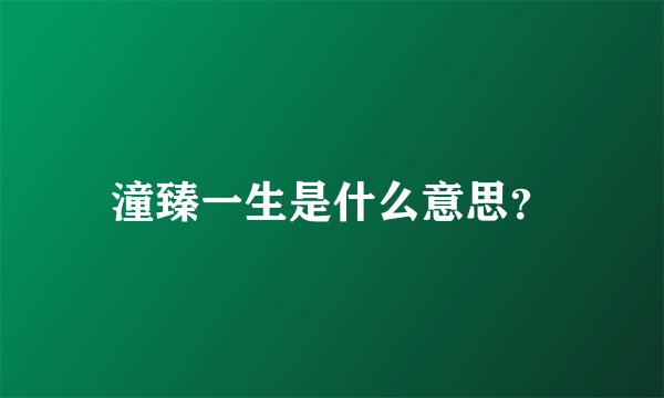 潼臻一生是什么意思？