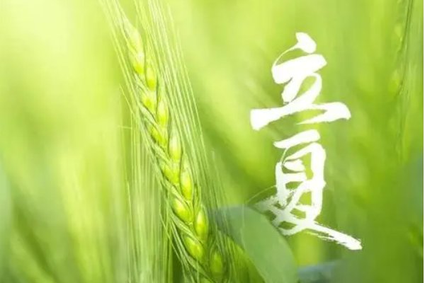 立夏看夏的意思是