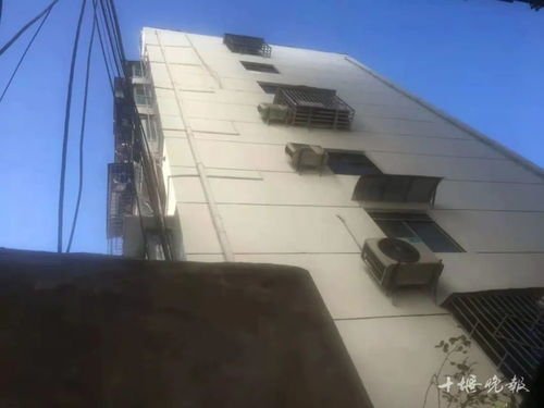 十堰一女子在后院水池边接水有一把菜刀飞过，这把菜刀是如何来的？