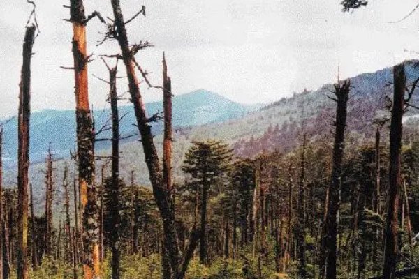 酸雨的主要成分