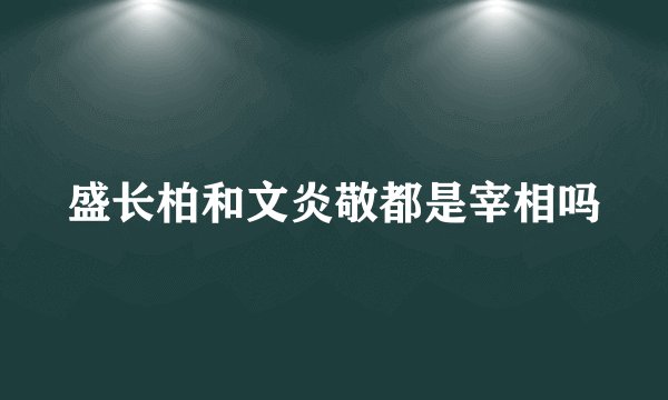 盛长柏和文炎敬都是宰相吗