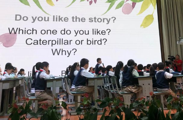 vanness是什么意思