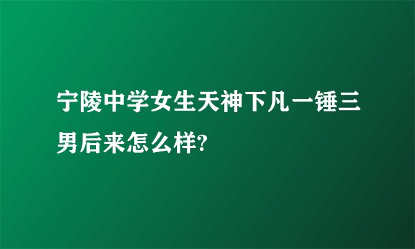 宁陵中学女生天神下凡一锤三男后来怎么样?
