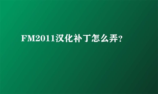 FM2011汉化补丁怎么弄？