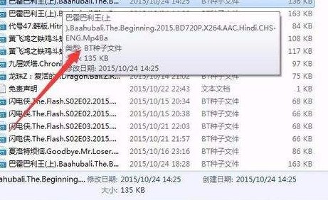 BT文件后缀名是什么