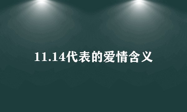 11.14代表的爱情含义