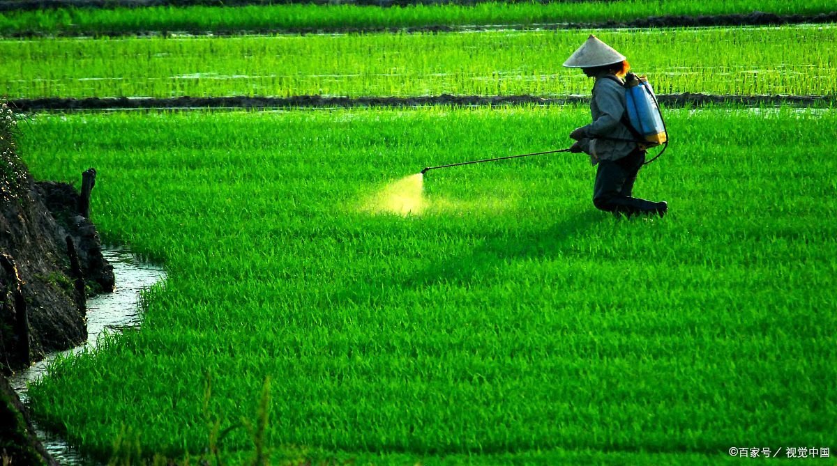 农药百草枯和敌敌畏哪个毒性更强?