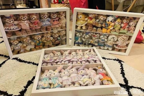 上海一95后姑娘收藏数百只星黛露,她是如何收集到这么多星黛露的?