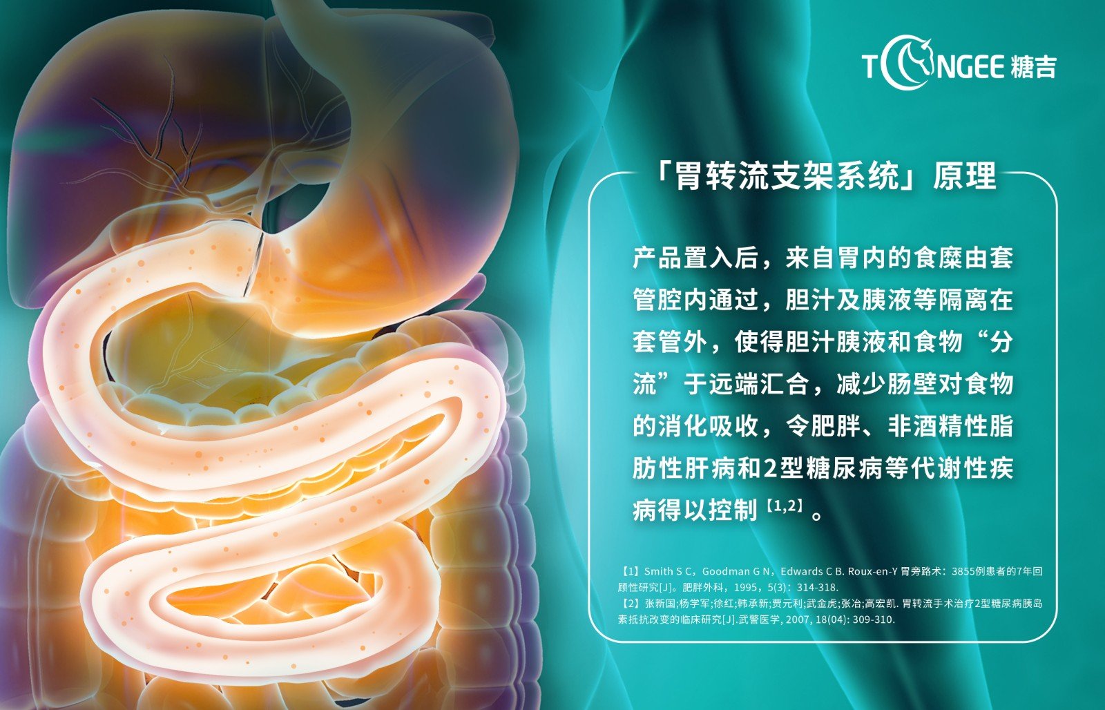 什么是脂肪肝？