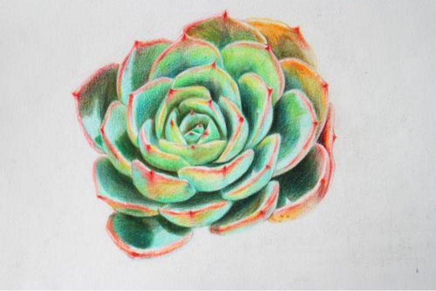 美术统考250分难考吗