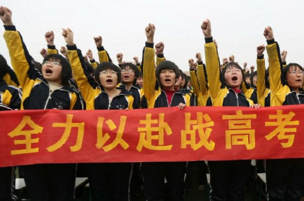 委员建议高考可以让学生选择性考试,对此你怎么看?