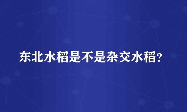 东北水稻是不是杂交水稻？