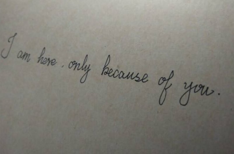 shaun英文名含义是什么?