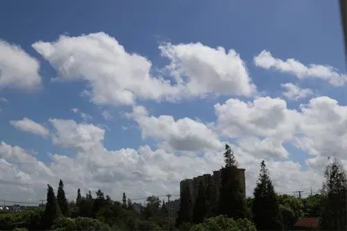 武汉暴雨后现棉花白云海，现场有多震撼？
