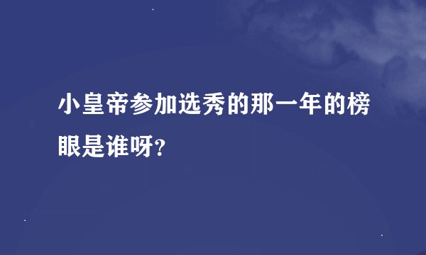 小皇帝参加选秀的那一年的榜眼是谁呀？