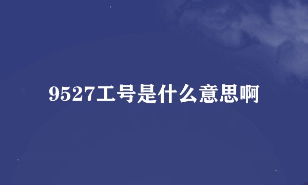 9527工号是什么意思啊
