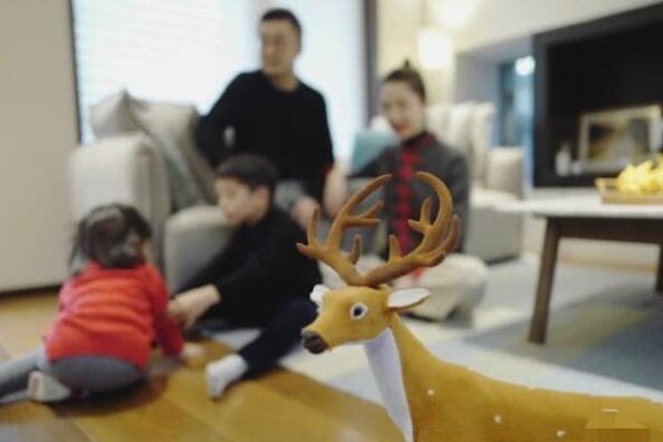 阿里蒋凡的老婆微博发了什么 两篇博文一天毁掉阿里总裁