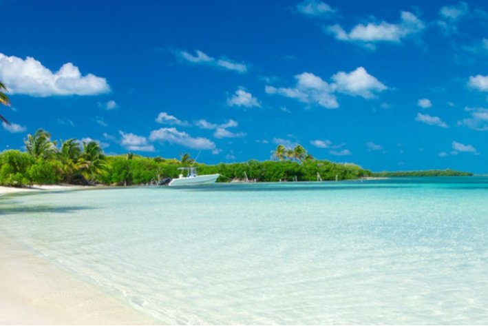 夏日的成语有哪些