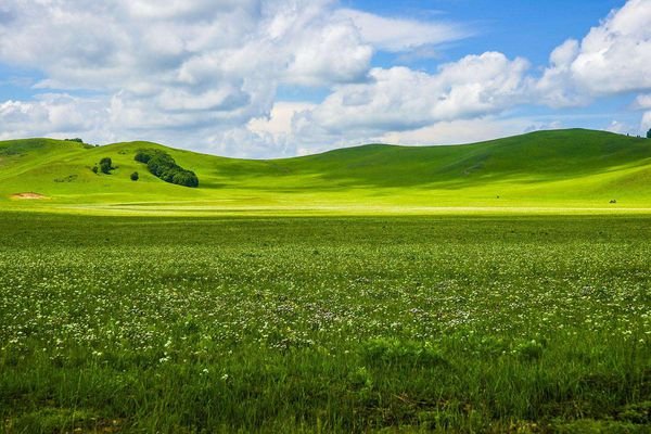 描写草原的作品