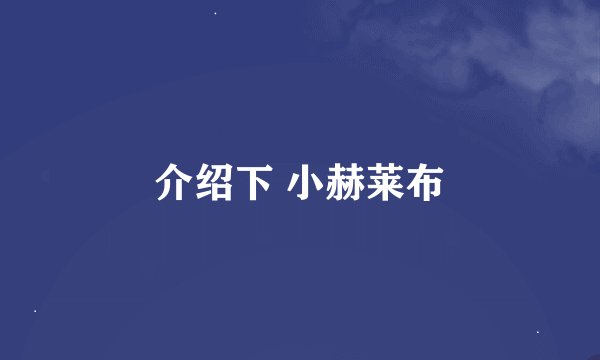介绍下 小赫莱布
