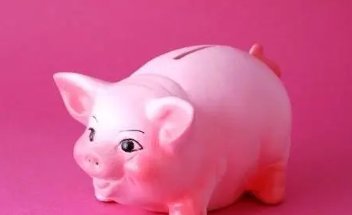 95属猪哪一年会动婚