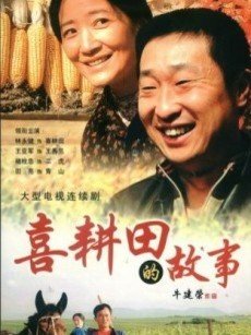 喜赖田的故事第一部总共多少集