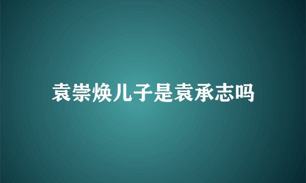 袁崇焕儿子是袁承志吗